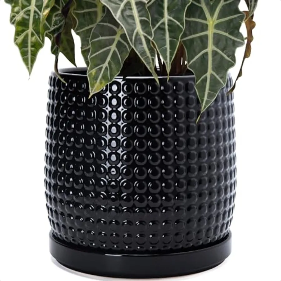 Indoor succulent planter pot: ceramic beaded stoneware, 10 inch, glossy black, with drainage holes and saucer, for flowers or s
Indoor succulent planter pot: ceramic beaded stoneware, 10 inch, glossy black, with drainage holes and saucer, for flowers or s