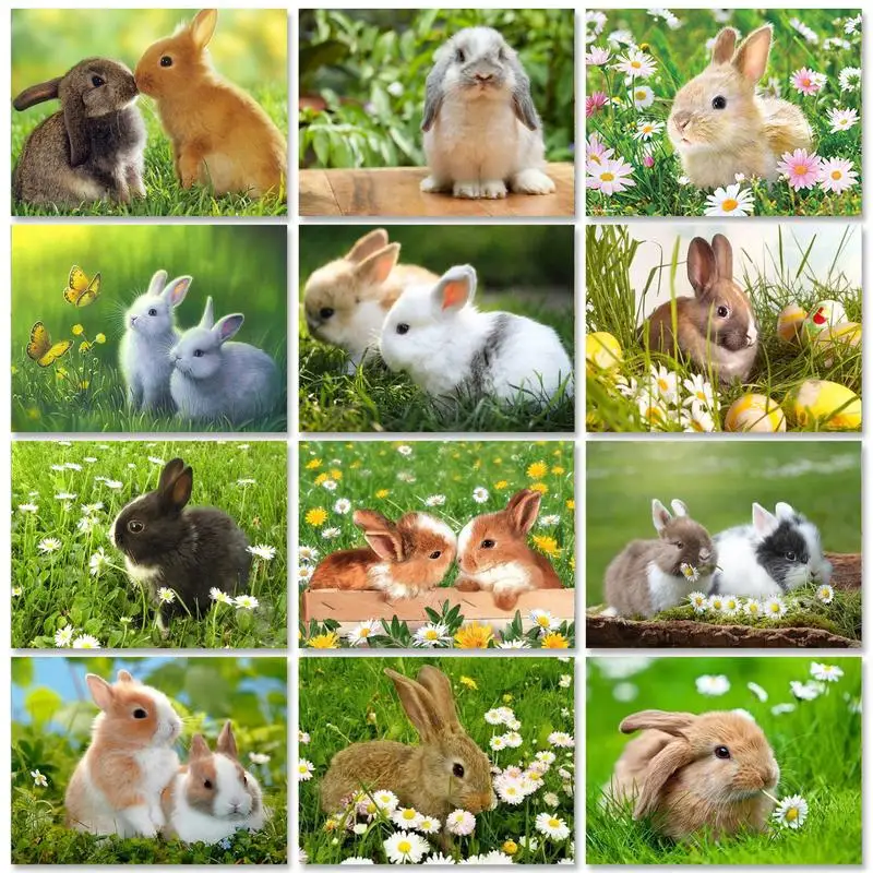 RUOPOTY DIY Diamond Painting Rabbit 5D Diamond Embroidery Animal Needlework Cross-stitch Home Decor Hobby
RUOPOTY DIY Diamond Painting Rabbit 5D Diamond Embroidery Animal Needlework Cross-stitch Home Decor Hobby