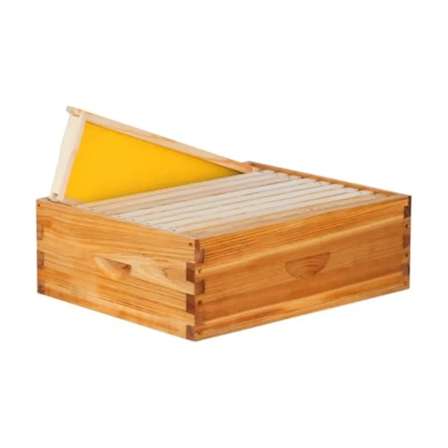 Beekeeping: wax-coated medium super beehive box with 10 frames and waxed foundations natural beige weather-resistant coating
Beekeeping: wax-coated medium super beehive box with 10 frames and waxed foundations natural beige weather-resistant coating