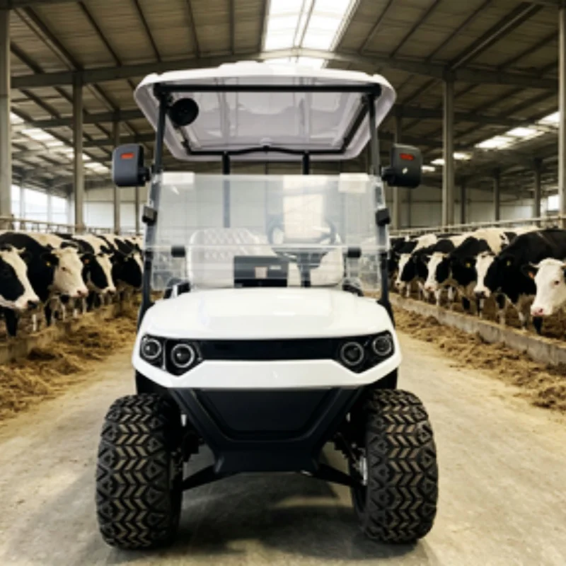 2026 High Quality Golf Cart 60V 72V Lithium Battery Electric Golf Cart Beach Cart Rear Cargo Box 12-Inch Off-Road Tires
2026 High Quality Golf Cart 60V 72V Lithium Battery Electric Golf Cart Beach Cart Rear Cargo Box 12-Inch Off-Road Tires