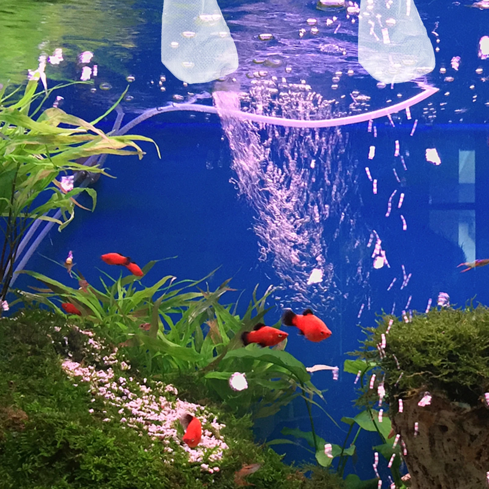 20pcs Filter Socks High Quality Reusable Fish Tank Aquarium Filter Bags White Color Mesh Fecal Suction Device Electric
20pcs Filter Socks High Quality Reusable Fish Tank Aquarium Filter Bags White Color Mesh Fecal Suction Device Electric