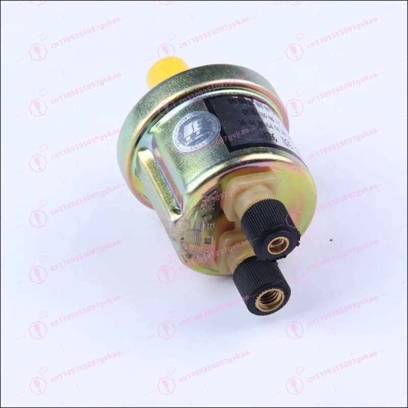 Oil Pressure Sensor YG2221G153 Truck Engine Oil Pressure Switch Heavy Truck Light Truck Construction Machinery Universal
Oil Pressure Sensor YG2221G153 Truck Engine Oil Pressure Switch Heavy Truck Light Truck Construction Machinery Universal