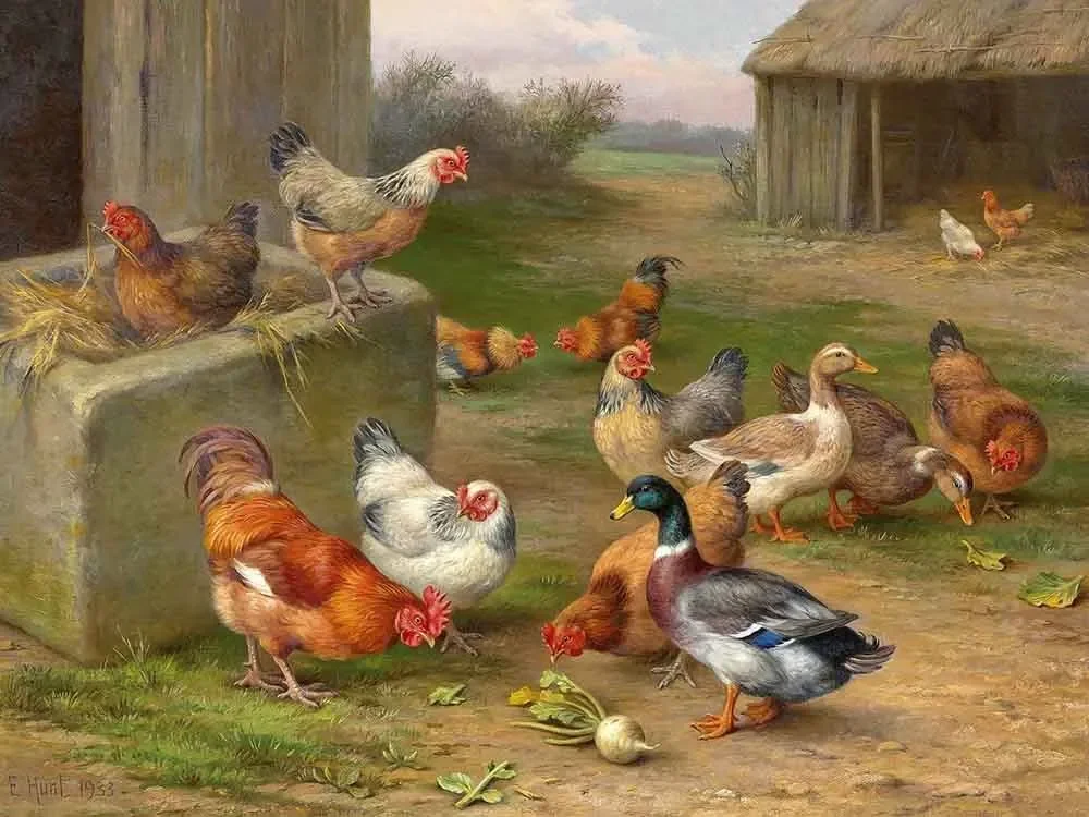 Chickens And Ducks ,Art Picture Print Silk Poster Living Room Decor ,Home Wall
Chickens And Ducks ,Art Picture Print Silk Poster Living Room Decor ,Home Wall