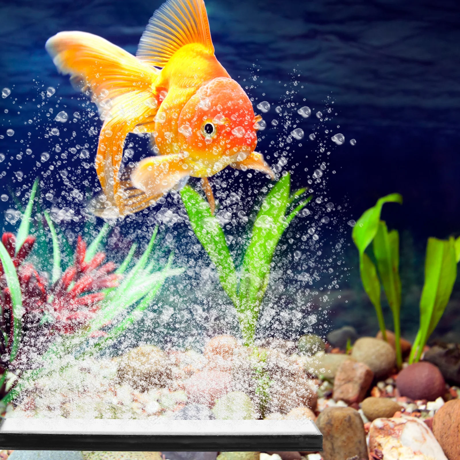 Aquarium Air Stone Fish Tank Bubble Stone Nano Aeration Device for Freshwater Saltwater Hydroponics Small Air Bubbler Mute
Aquarium Air Stone Fish Tank Bubble Stone Nano Aeration Device for Freshwater Saltwater Hydroponics Small Air Bubbler Mute