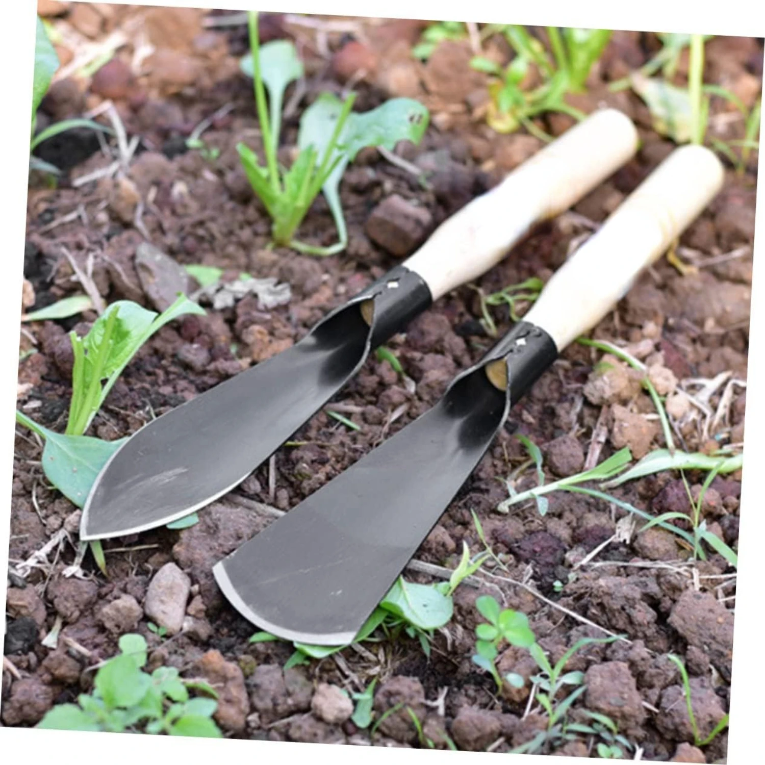 Durable and Efficient High-Quality Top-Grade Manganese Steel Garden Shovel Set for Planting and Snow Removal - Premium Succulent
Durable and Efficient High-Quality Top-Grade Manganese Steel Garden Shovel Set for Planting and Snow Removal - Premium Succulent