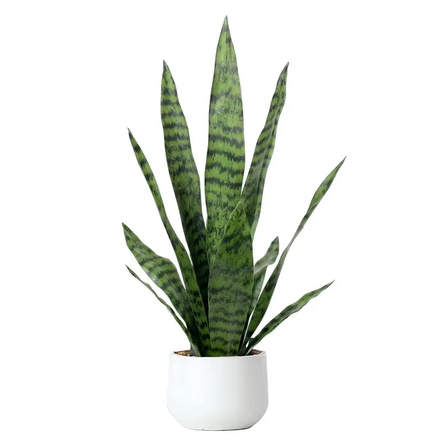 Artificial Snake Plant 22.5 Faux Agave Fake Sansevieria Artificial Potted Plants for Indoor and Outdoor Home Office Dcor White
Artificial Snake Plant 22.5 Faux Agave Fake Sansevieria Artificial Potted Plants for Indoor and Outdoor Home Office Dcor White