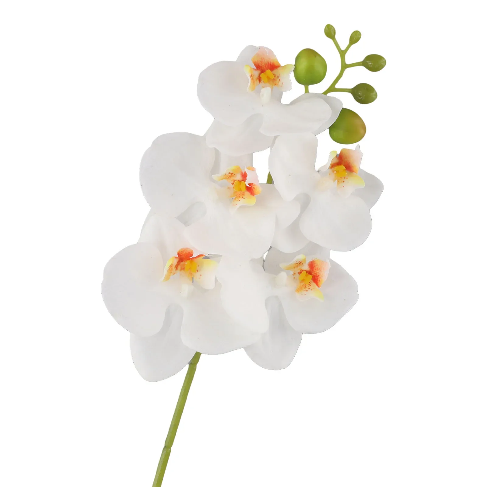 Silk Orchids 17.7*7.8*0.3 Inches Phalaenopsis Orchid Realistic Feel Home Decor Garden Decor Wedding Decoration
Silk Orchids 17.7*7.8*0.3 Inches Phalaenopsis Orchid Realistic Feel Home Decor Garden Decor Wedding Decoration