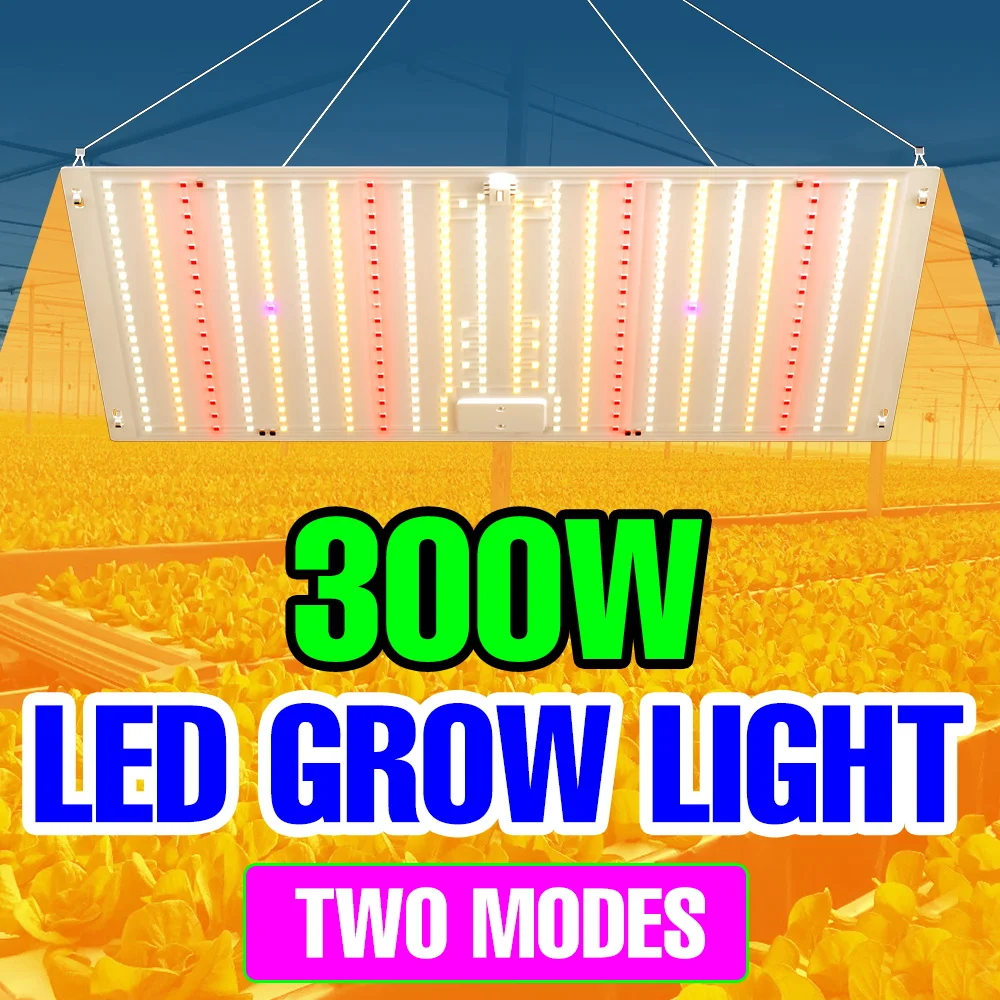 300W LED Full Spectrum Grow Lights Quantum Board Cultivation Lamp US/EU Plug For Indoor Fruit Greenhouse Tent Flower Vegetables
300W LED Full Spectrum Grow Lights Quantum Board Cultivation Lamp US/EU Plug For Indoor Fruit Greenhouse Tent Flower Vegetables