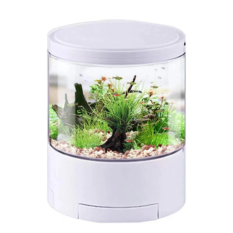 Round colorful lamp desktop fish tank mini battle fish tank small tank lighting filter oxygen aquarium
Round colorful lamp desktop fish tank mini battle fish tank small tank lighting filter oxygen aquarium