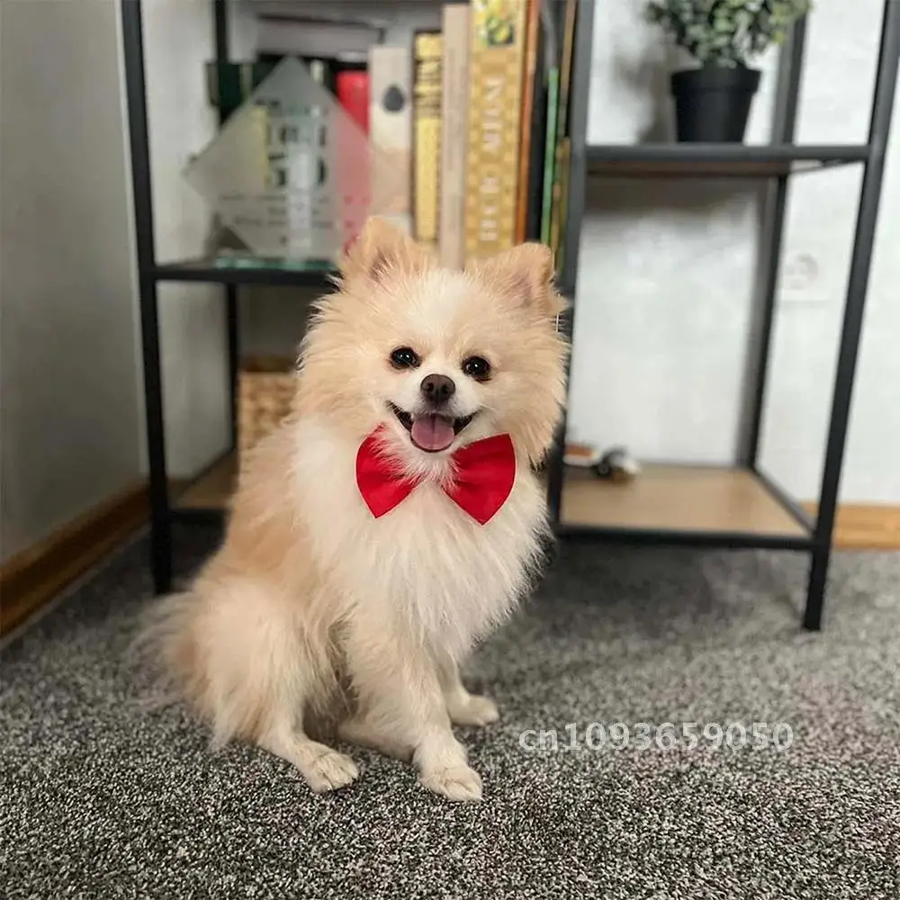 Wholesale Accessories Cute Adjustable Dog Cat Bow Tie Neck Supplies Bowties Dogs Pets Puppy Ties Grooming 100/50/20 Pet Dog
Wholesale Accessories Cute Adjustable Dog Cat Bow Tie Neck Supplies Bowties Dogs Pets Puppy Ties Grooming 100/50/20 Pet Dog