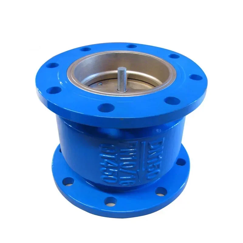 Valve holding vertical one-way ductile iron silent check valve
Valve holding vertical one-way ductile iron silent check valve