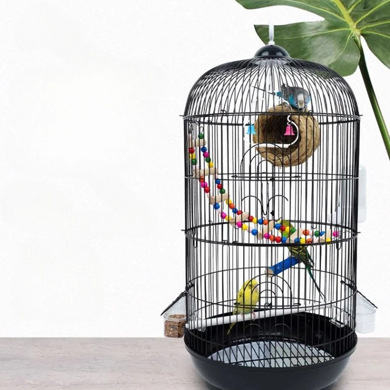 Stand Parrot Bird Cages Hammocks Chinchilla Feeder Canary Decors Bird Cages Canary Luxury Vogel Accessories Bird Accessories
Stand Parrot Bird Cages Hammocks Chinchilla Feeder Canary Decors Bird Cages Canary Luxury Vogel Accessories Bird Accessories