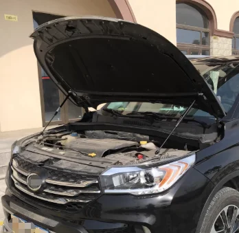 1 Set Gas Struts for GAC Trumpchi GS4 I (A28/A32) 2015-2019 Front Hood Bonnet Lift Support Damper Shock Absorber Prop Rods
1 Set Gas Struts for GAC Trumpchi GS4 I (A28/A32) 2015-2019 Front Hood Bonnet Lift Support Damper Shock Absorber Prop Rods