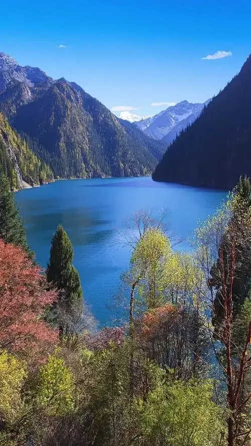 4K Pocket Action Camera 270° Auto Rotatable Stabilization Touch Screen Sports DV Bodycam 4X Zoom Portable Digital Video Recorder
4K Pocket Action Camera 270° Auto Rotatable Stabilization Touch Screen Sports DV Bodycam 4X Zoom Portable Digital Video Recorder