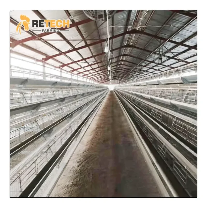 Automatic Layer Chicken Cage A Type Hot Dip Galvanized Steel Retech Farming for Africa Farm 1 Year Warranty
Automatic Layer Chicken Cage A Type Hot Dip Galvanized Steel Retech Farming for Africa Farm 1 Year Warranty