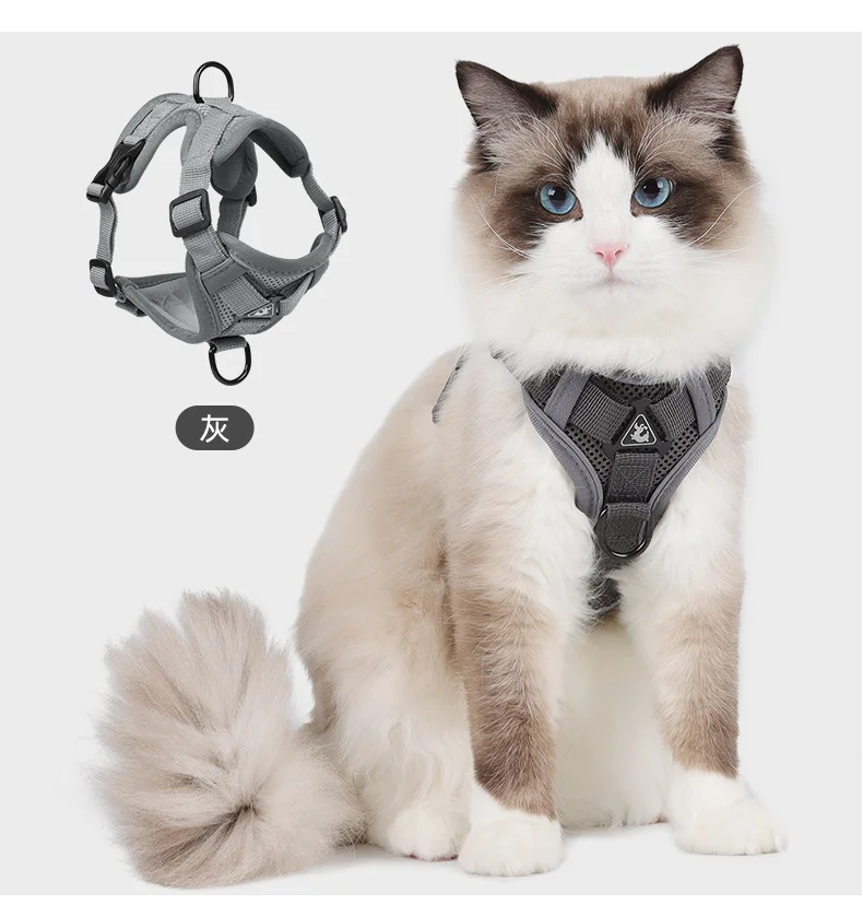Summer Pet Harness Vest Leash Set Reflective Adjustable Pet Harness Vest For Small Dogs Cats Mesh Dog Chest Strap French Bulldog
Summer Pet Harness Vest Leash Set Reflective Adjustable Pet Harness Vest For Small Dogs Cats Mesh Dog Chest Strap French Bulldog