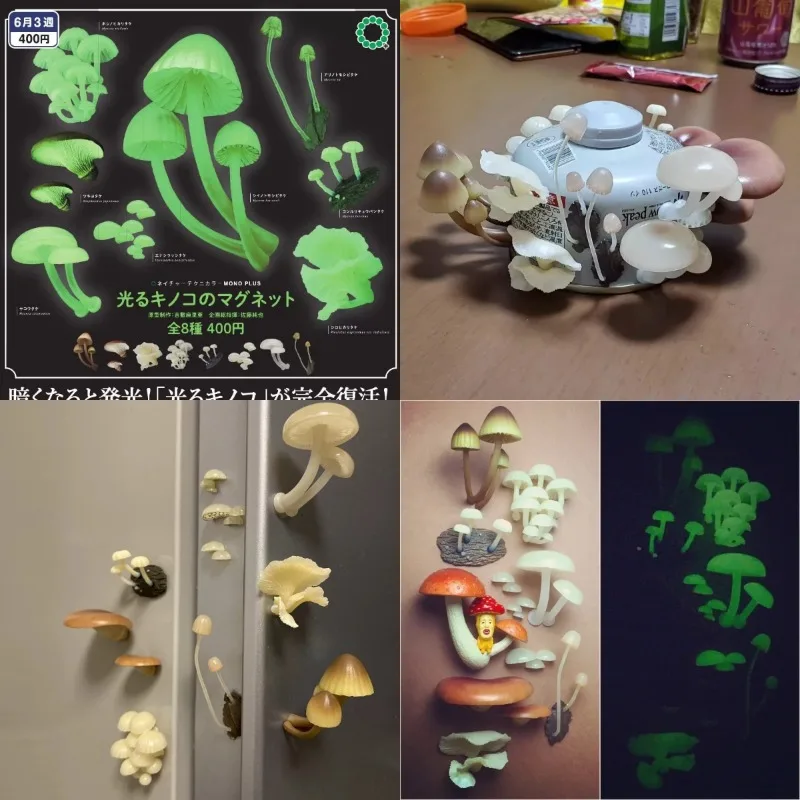 Original Kitan Gashapon Capsule Toys Figure Cute NTC Glows Under Light Mushroom Fungus Mini Figurine Anime Model Gift
Original Kitan Gashapon Capsule Toys Figure Cute NTC Glows Under Light Mushroom Fungus Mini Figurine Anime Model Gift