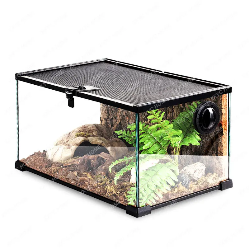 Glass Climbing Cylinder Lizard Mane Lion Palace Climbing Pet Crawler Tortoise Ceratophrys Feeding Box Box Terrapin Cylinder
Glass Climbing Cylinder Lizard Mane Lion Palace Climbing Pet Crawler Tortoise Ceratophrys Feeding Box Box Terrapin Cylinder