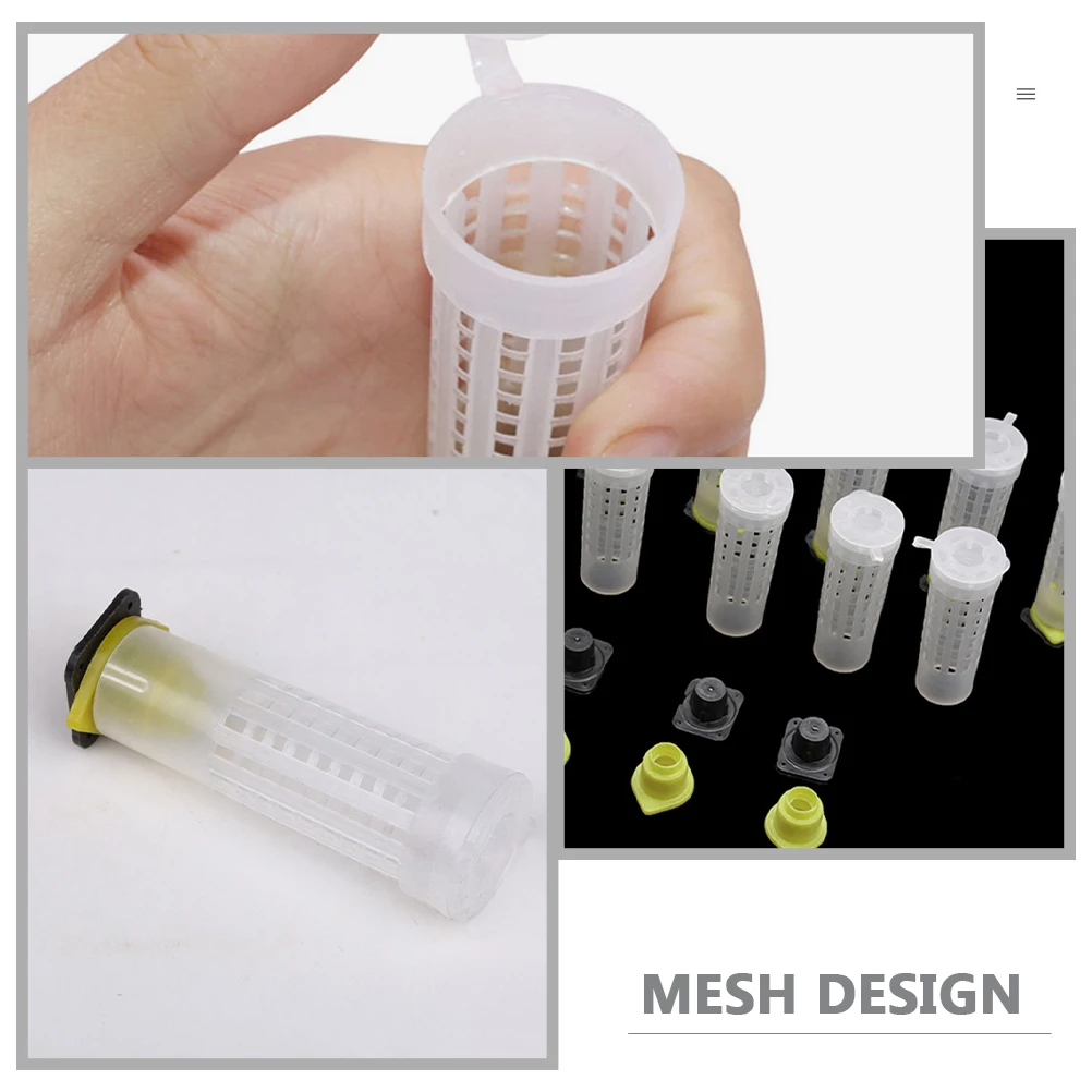 30pcs Protective Cover Bite Proof Safety Cage Breeding Equipment Beekeeping Supplies Plastic Cage Farm Equipment
30pcs Protective Cover Bite Proof Safety Cage Breeding Equipment Beekeeping Supplies Plastic Cage Farm Equipment