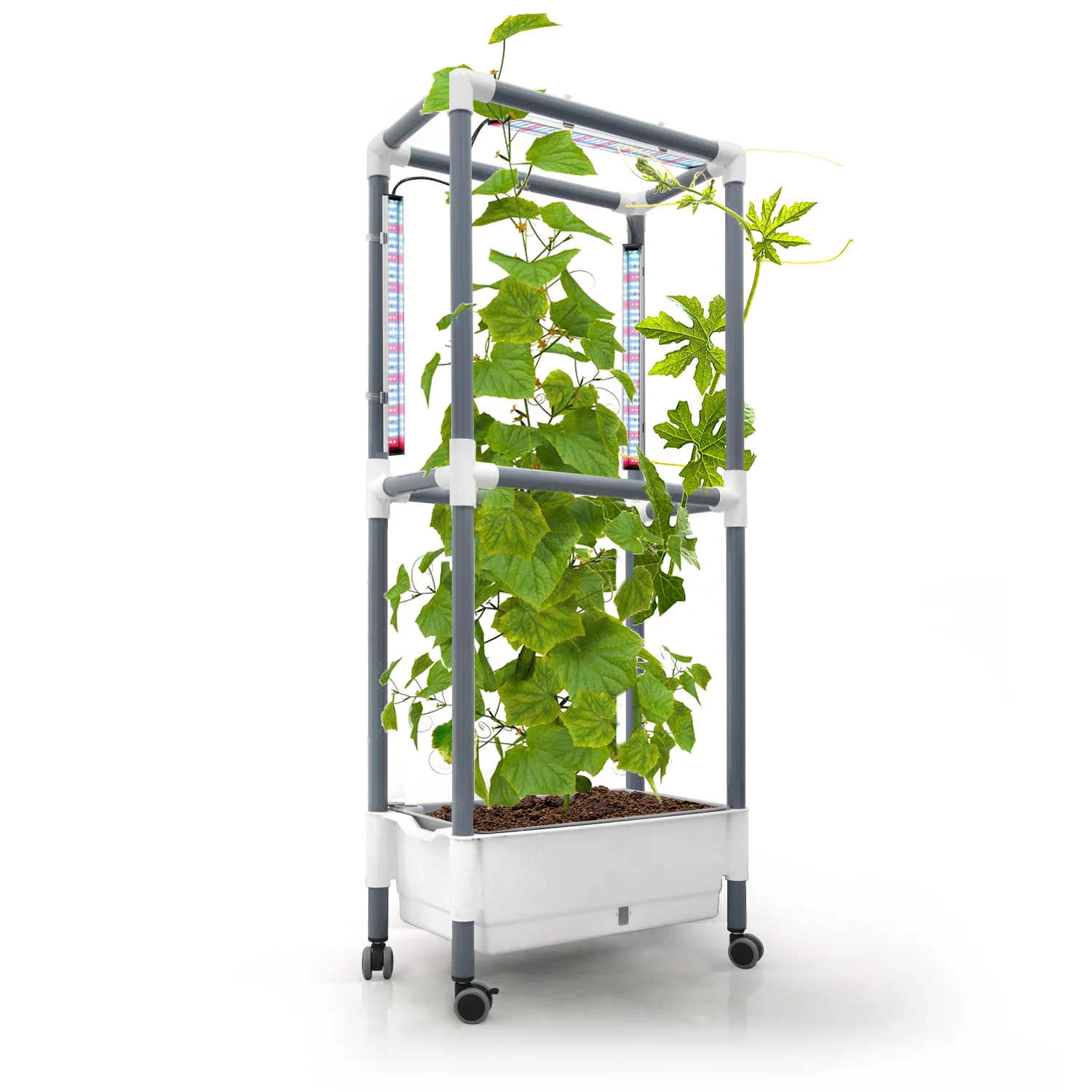 Indoor Raised Garden Trellis Support Home Grow Kit For Rattan Flowers Or Climbing Vegetables Planter With Led Grow Light
Indoor Raised Garden Trellis Support Home Grow Kit For Rattan Flowers Or Climbing Vegetables Planter With Led Grow Light
