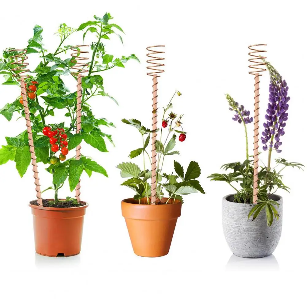 Plant Stakes Multifunctional Plant Stake High-yield Electroculture Plant Stakes for Easy Installation Garden Set of 8 Long
Plant Stakes Multifunctional Plant Stake High-yield Electroculture Plant Stakes for Easy Installation Garden Set of 8 Long