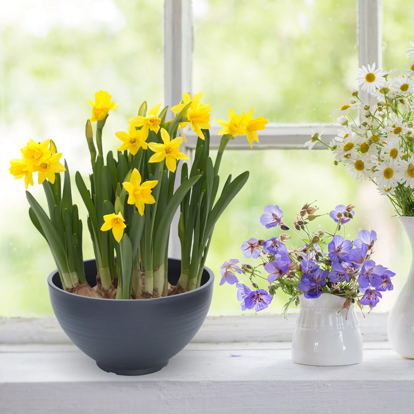 Faux Stone Flower Pot 30cm Deep Grey Hydroponic Plant Pots Large Water Basin PP Resin Planter for Garden Yard Balcony Indoor
Faux Stone Flower Pot 30cm Deep Grey Hydroponic Plant Pots Large Water Basin PP Resin Planter for Garden Yard Balcony Indoor