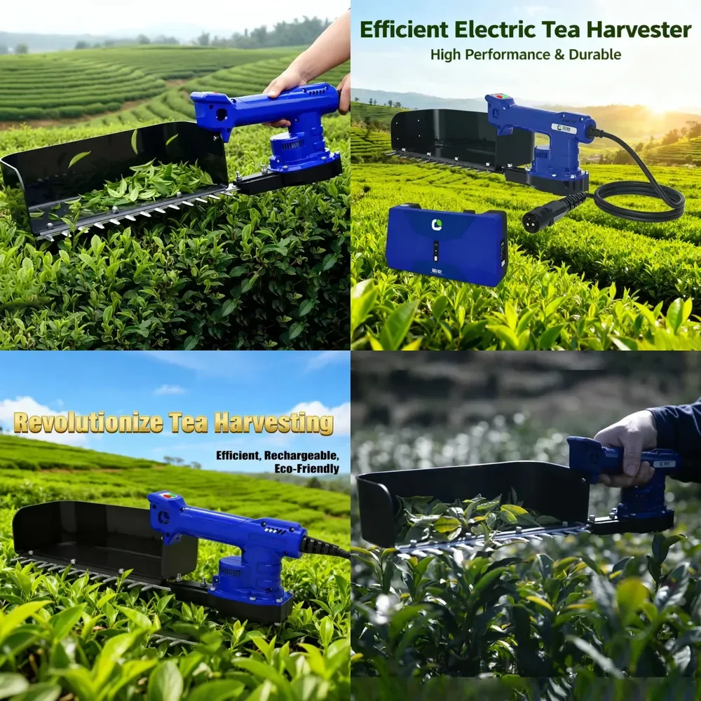 High Quality Mini Picking Machine Lithium Battery New Energy Garden Tool Leaf Harvester with Core Motor Component
High Quality Mini Picking Machine Lithium Battery New Energy Garden Tool Leaf Harvester with Core Motor Component