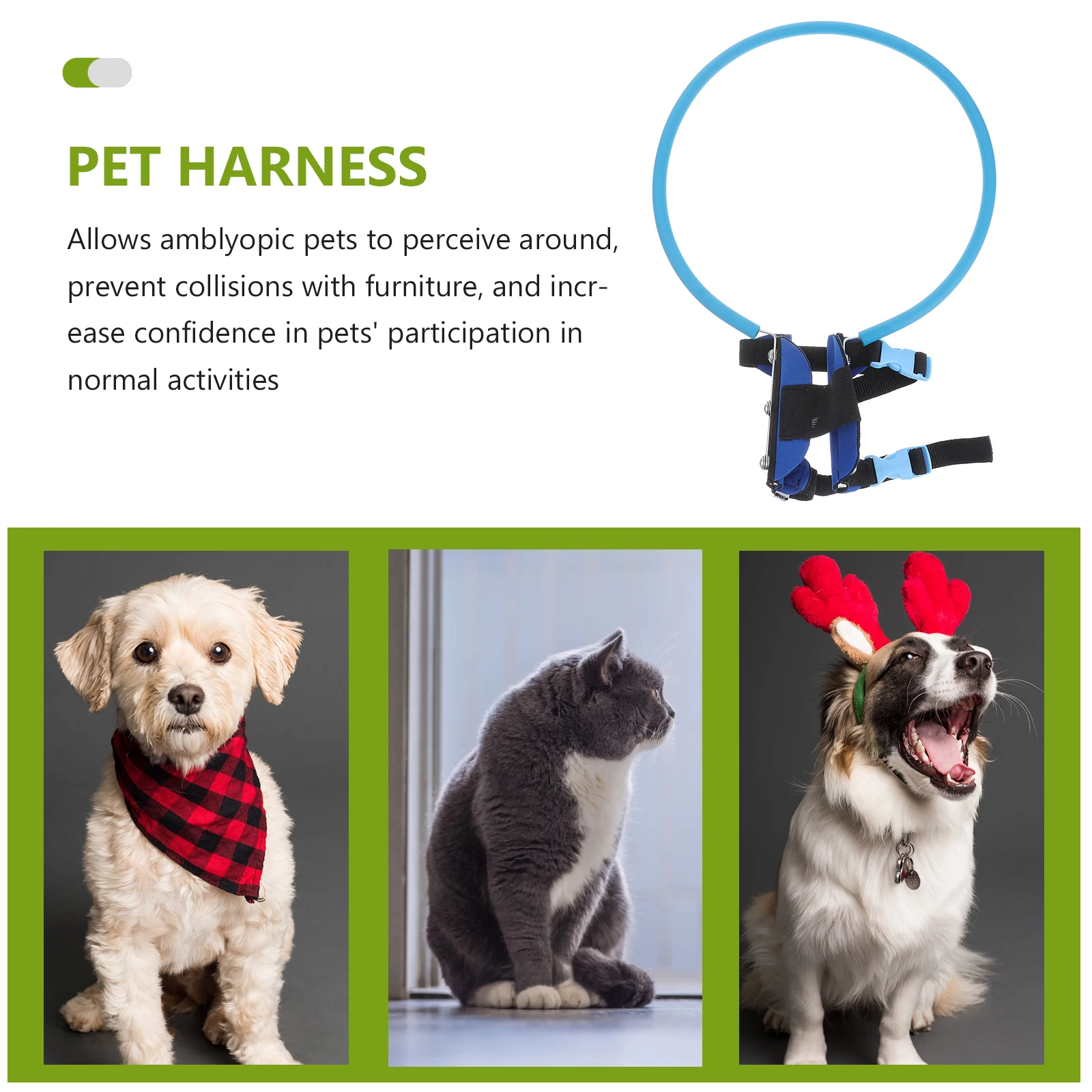 Anti Collision Ring for Blind Dogs Lightweight EVA Foam Circle Harness Durable Wear Resistant Double Buckle Design
Anti Collision Ring for Blind Dogs Lightweight EVA Foam Circle Harness Durable Wear Resistant Double Buckle Design