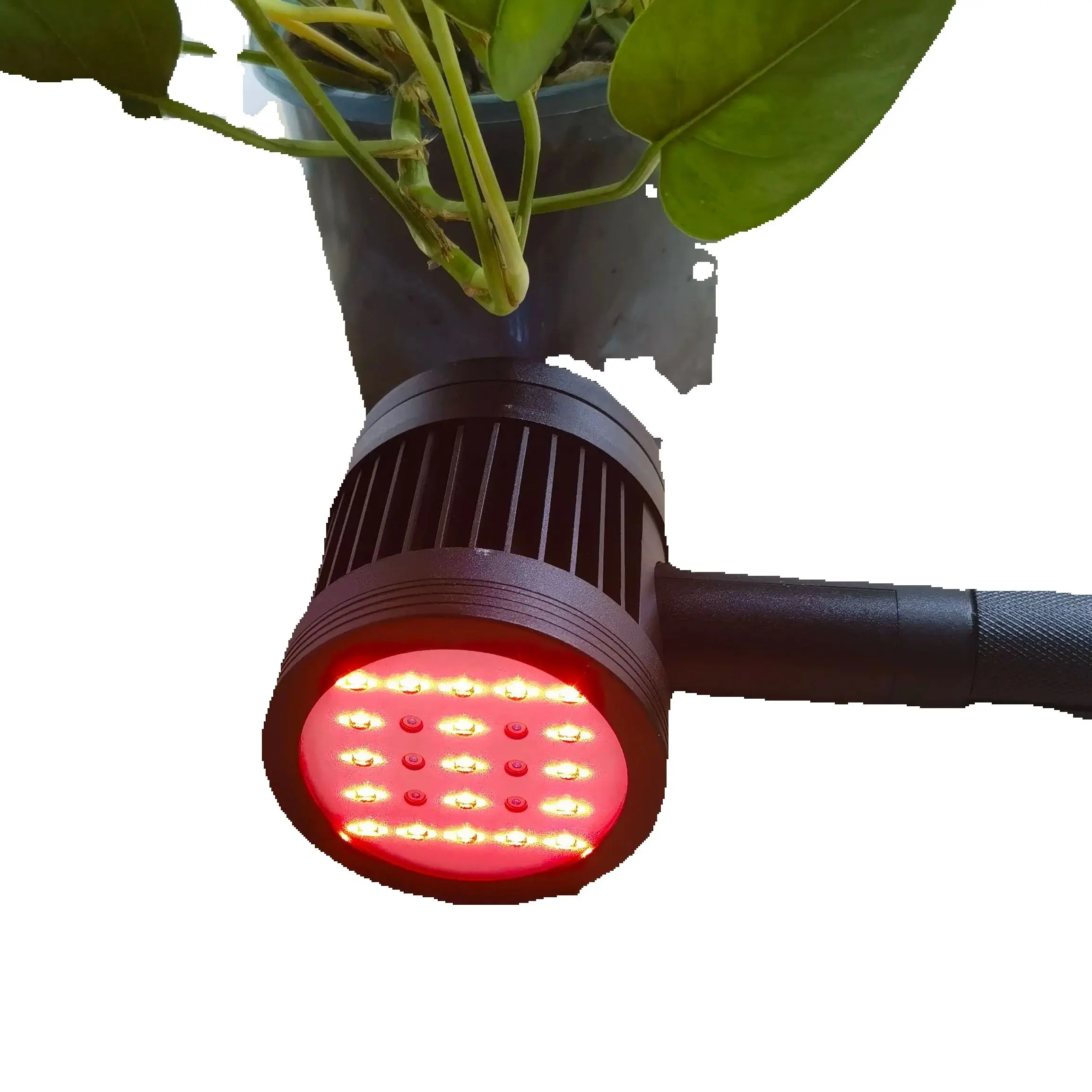 Низкоуровневое лазерное терапевтическое устройство 1295 МВт 650 нм/808 нм Портативная терапия красным светом для облегчения боли в человека и домашних животных, спирание плечевого сустава
Низкоуровневое лазерное терапевтическое устройство 1295 МВт 650 нм/808 нм Портативная терапия красным светом для облегчения боли в человека и домашних животных, спирание плечевого сустава