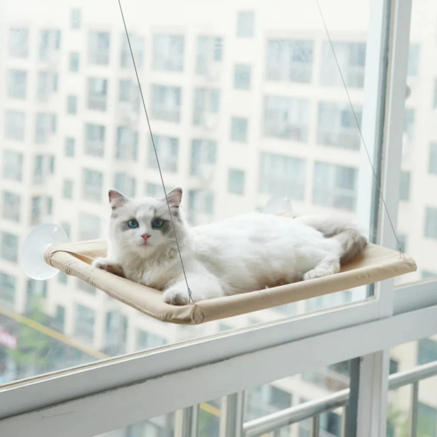 Hanging Cat Bed Pet Cat Window Shelf Net Cat Hammock Suction Cup Cat House Perches Cave Cat Nest Cat Supplies Cat Accessories Be
Hanging Cat Bed Pet Cat Window Shelf Net Cat Hammock Suction Cup Cat House Perches Cave Cat Nest Cat Supplies Cat Accessories Be
