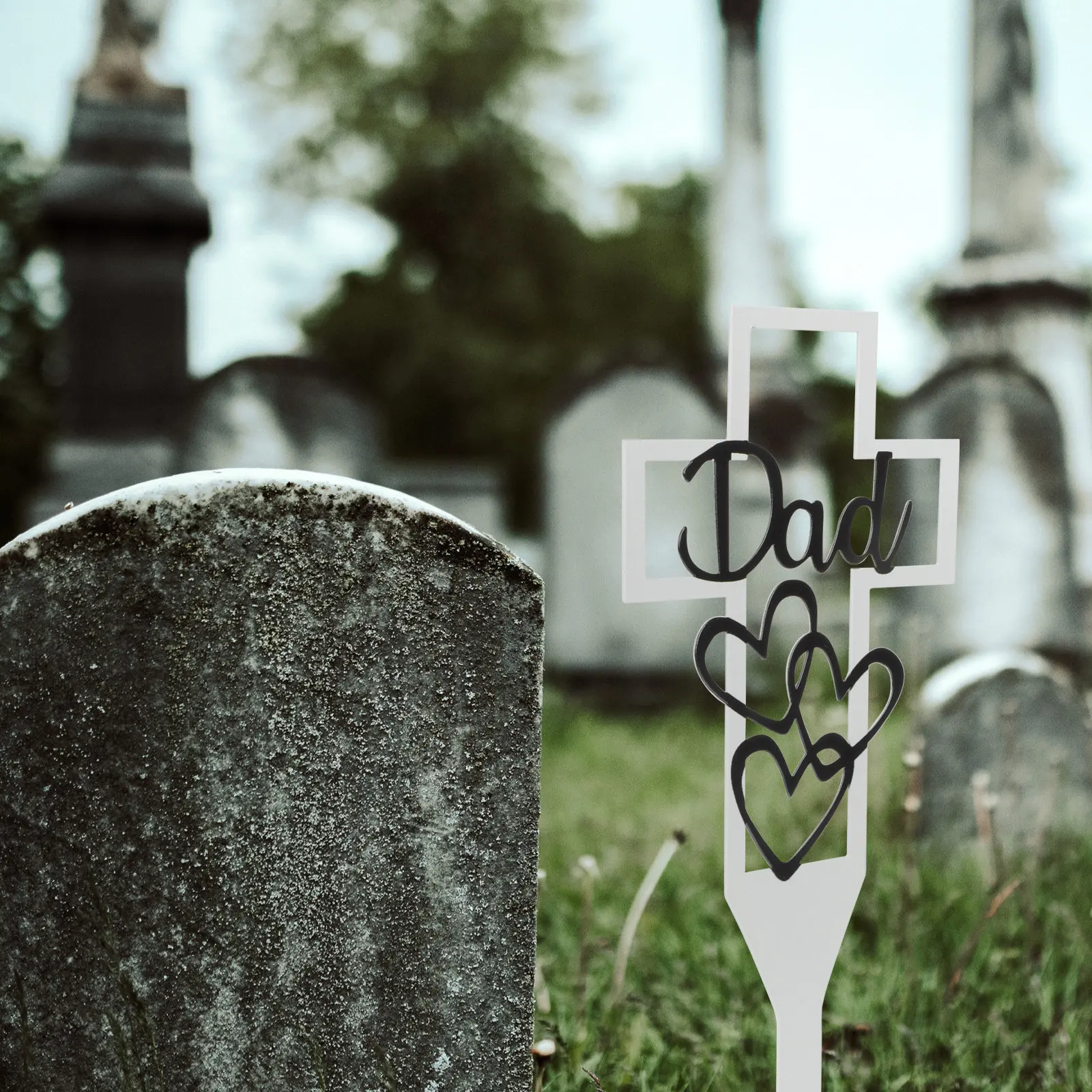Premium Iron Cemetery Memorial Cross Stake Grave Marker for Dad Outdoor Garden Yard Lawn Cemetery Decoration Grave Sign
Premium Iron Cemetery Memorial Cross Stake Grave Marker for Dad Outdoor Garden Yard Lawn Cemetery Decoration Grave Sign