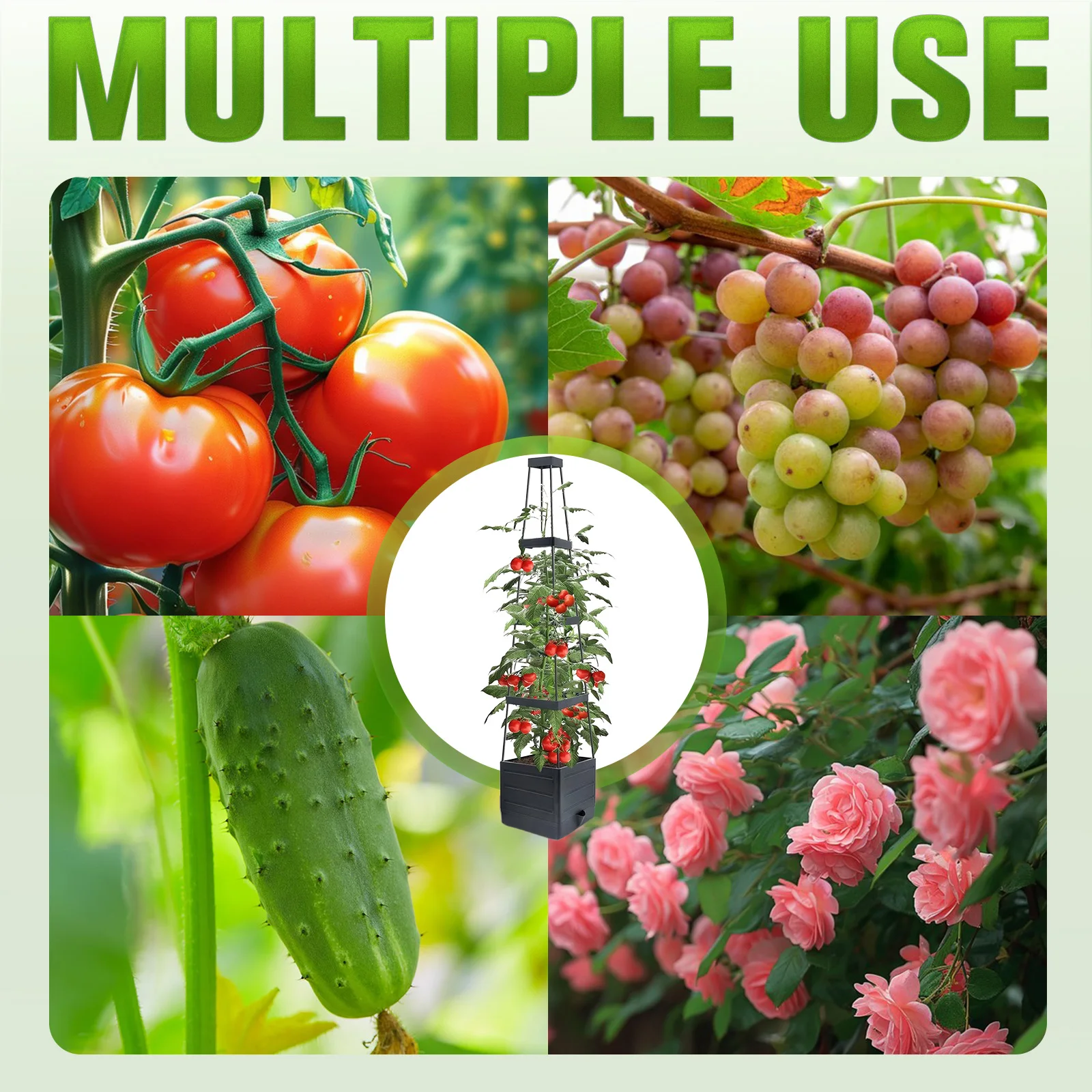 11in Tomato Tower W/ Self Watering Planting Box & Trellis Raised Garden Bed Planter Box Tomato Cage Planter for climbing plants
11in Tomato Tower W/ Self Watering Planting Box & Trellis Raised Garden Bed Planter Box Tomato Cage Planter for climbing plants