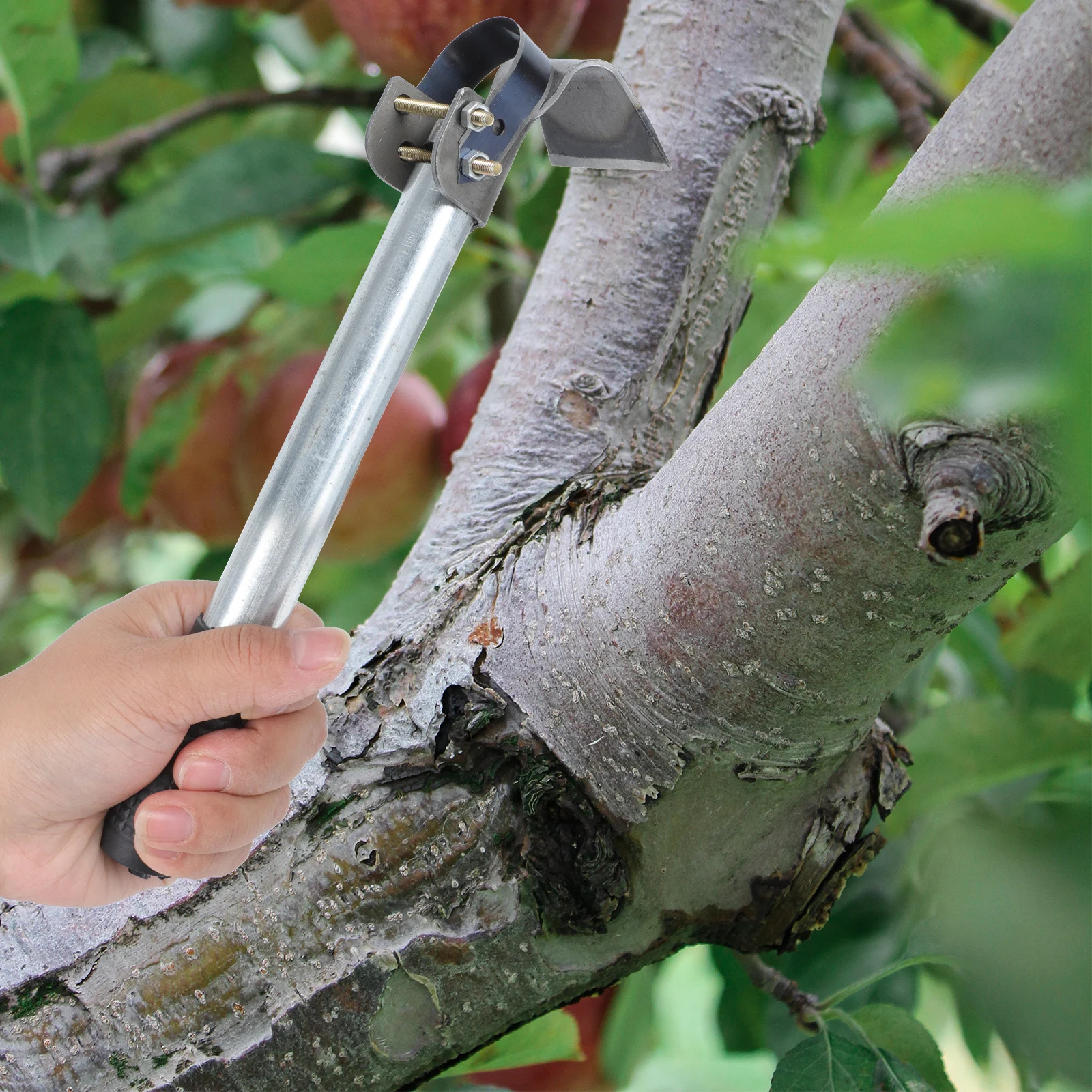 Bark Scraper Tool Tree Bark Manual Garden Tool for Gardening Bonsai Fruit Trimming Outdoor Yard Park Use Non-Slip Handle
Bark Scraper Tool Tree Bark Manual Garden Tool for Gardening Bonsai Fruit Trimming Outdoor Yard Park Use Non-Slip Handle
