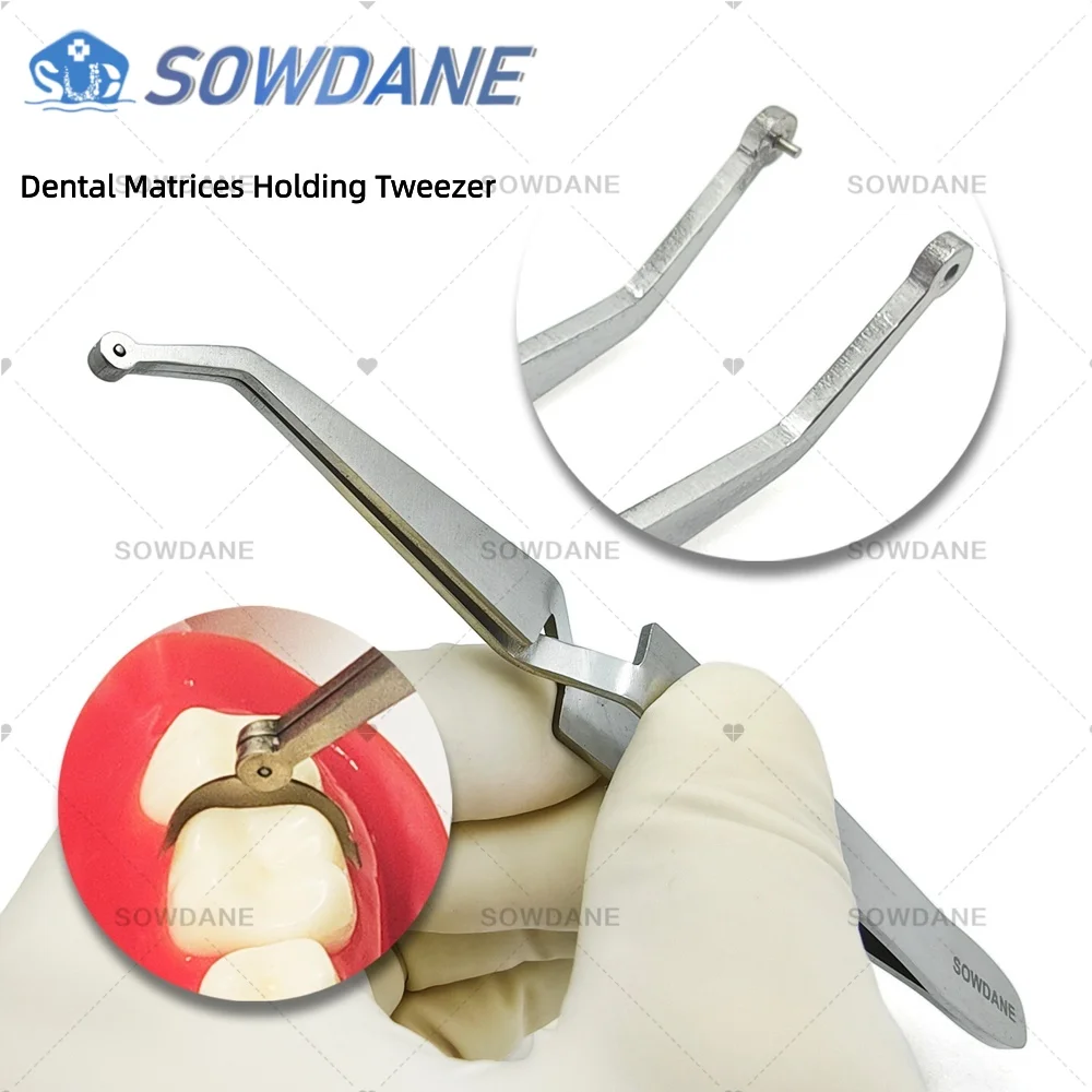 Dentist Surgical Instrument Matrix Holding Matrice Hold Tweezer Dental Matrices Holding Tool Orthodontic Matrix Placing Tweezer
Dentist Surgical Instrument Matrix Holding Matrice Hold Tweezer Dental Matrices Holding Tool Orthodontic Matrix Placing Tweezer