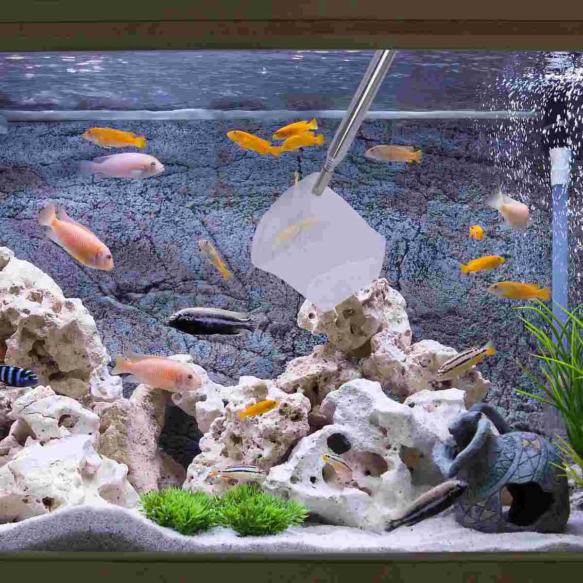 Fish Tank Telescopic Landing Net Unbreakable Aquarium Handle Three-dimensional Fishing Net (Square Mesh Random Color)
Fish Tank Telescopic Landing Net Unbreakable Aquarium Handle Three-dimensional Fishing Net (Square Mesh Random Color)