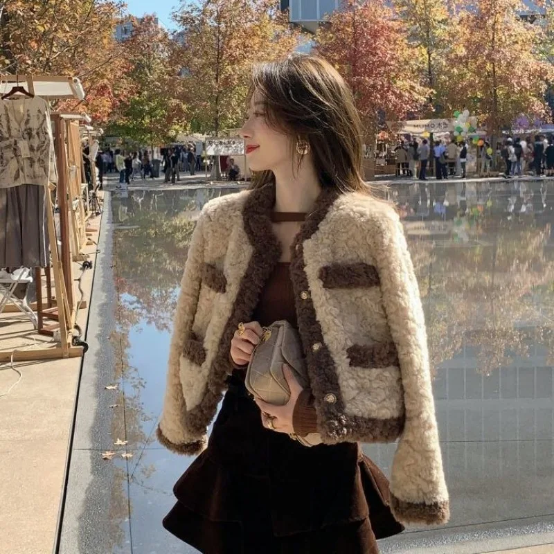 Faux Lamb Wool Short Coat Women Streetwear O-neck Single-breasted Warm Jacket Faux Fur Coat Jacket Thick Long Sleeve Korean Chic
Faux Lamb Wool Short Coat Women Streetwear O-neck Single-breasted Warm Jacket Faux Fur Coat Jacket Thick Long Sleeve Korean Chic