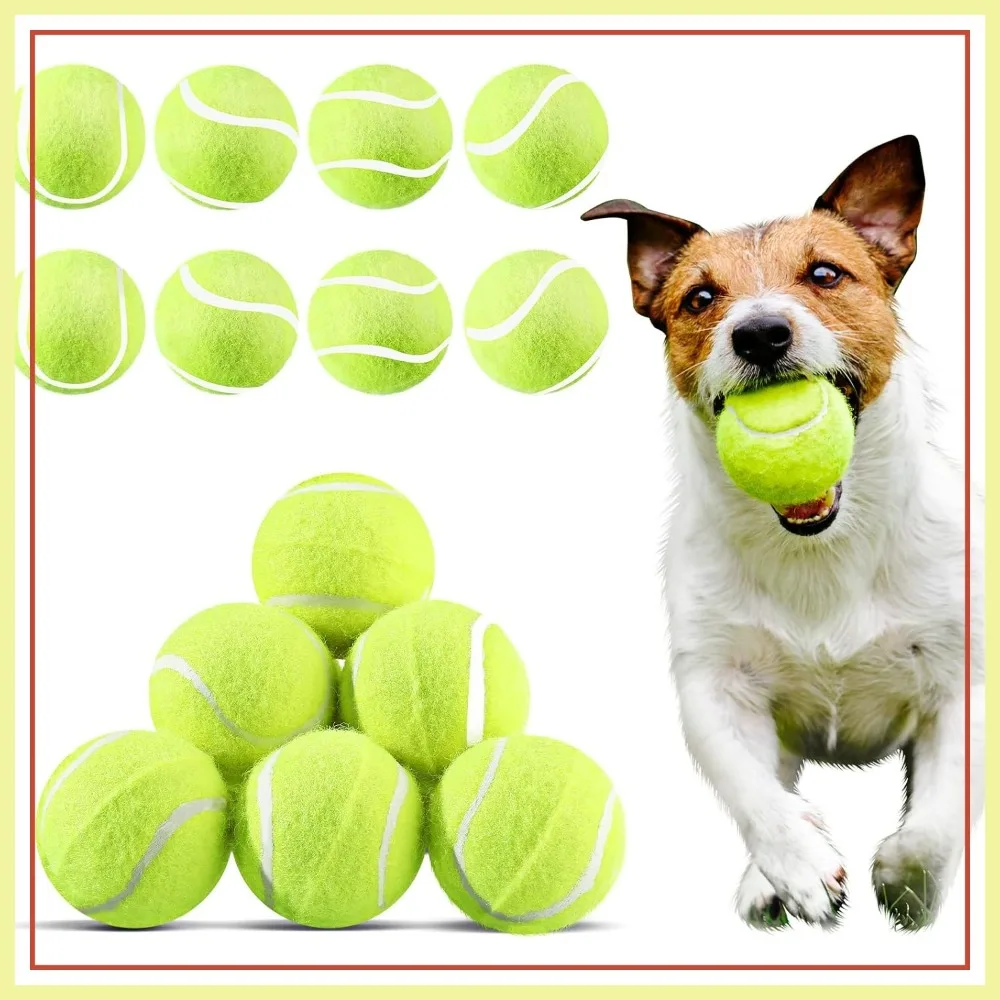 20 Pack Dog Tennis Balls 2 Inch Mini Fetch Toys for Small Puppies Training Exercise
20 Pack Dog Tennis Balls 2 Inch Mini Fetch Toys for Small Puppies Training Exercise