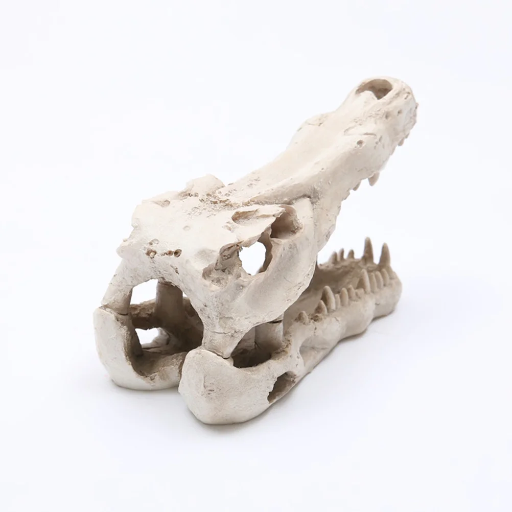 Crocodile Skull Decoration Simulation Head Realistic Resin Ornament Home Office Desktop Decor Christmas Holiday Table Shelf
Crocodile Skull Decoration Simulation Head Realistic Resin Ornament Home Office Desktop Decor Christmas Holiday Table Shelf