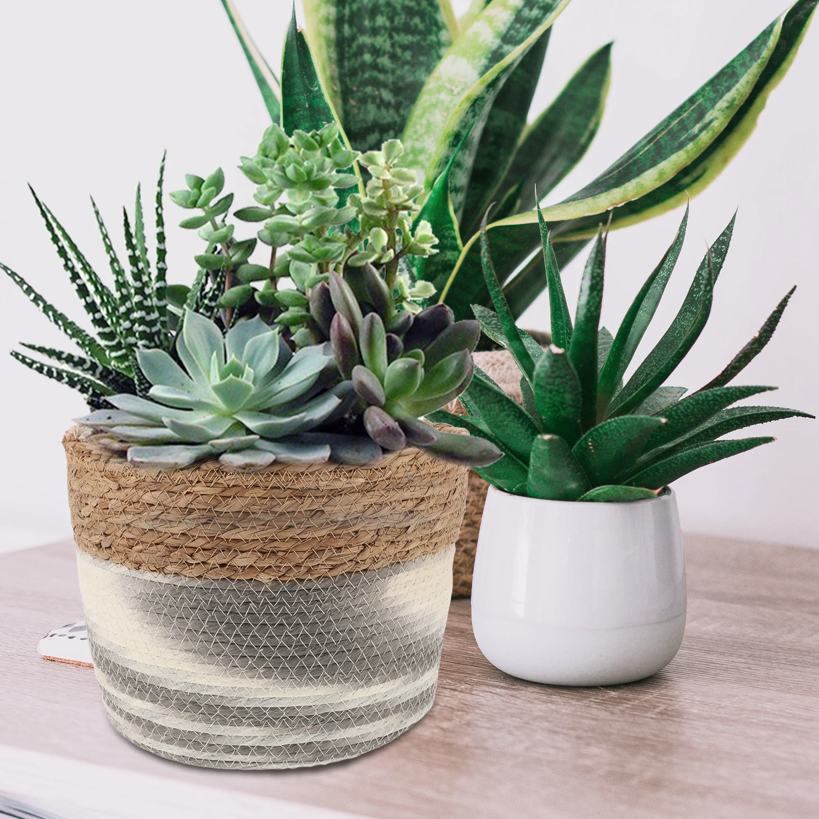 Seagrass Planter Basket Deep Green Large Handwoven Paper Rope Indoor Plant Pot Storage Basket Flower Pots Gardening Planter
Seagrass Planter Basket Deep Green Large Handwoven Paper Rope Indoor Plant Pot Storage Basket Flower Pots Gardening Planter