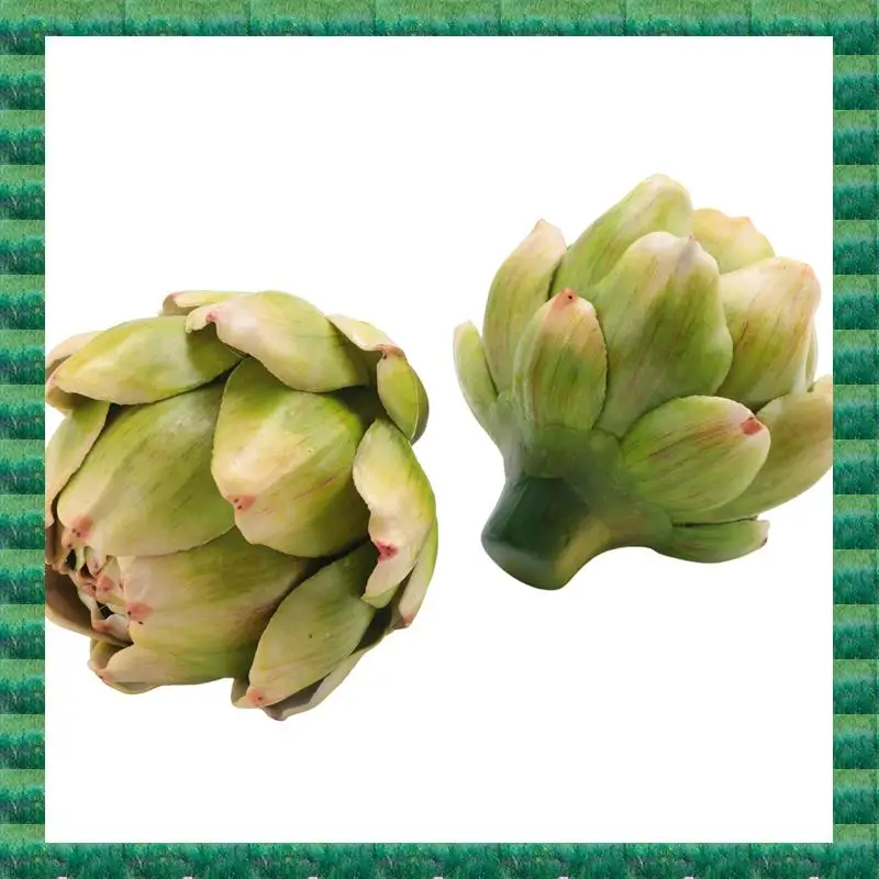 B76A Green Artificial Artichokes Fruits - Fruits And Realistic Vegetables For Kitchen Bowl And Vase Filler Decorations Durable 4
B76A Green Artificial Artichokes Fruits - Fruits And Realistic Vegetables For Kitchen Bowl And Vase Filler Decorations Durable 4