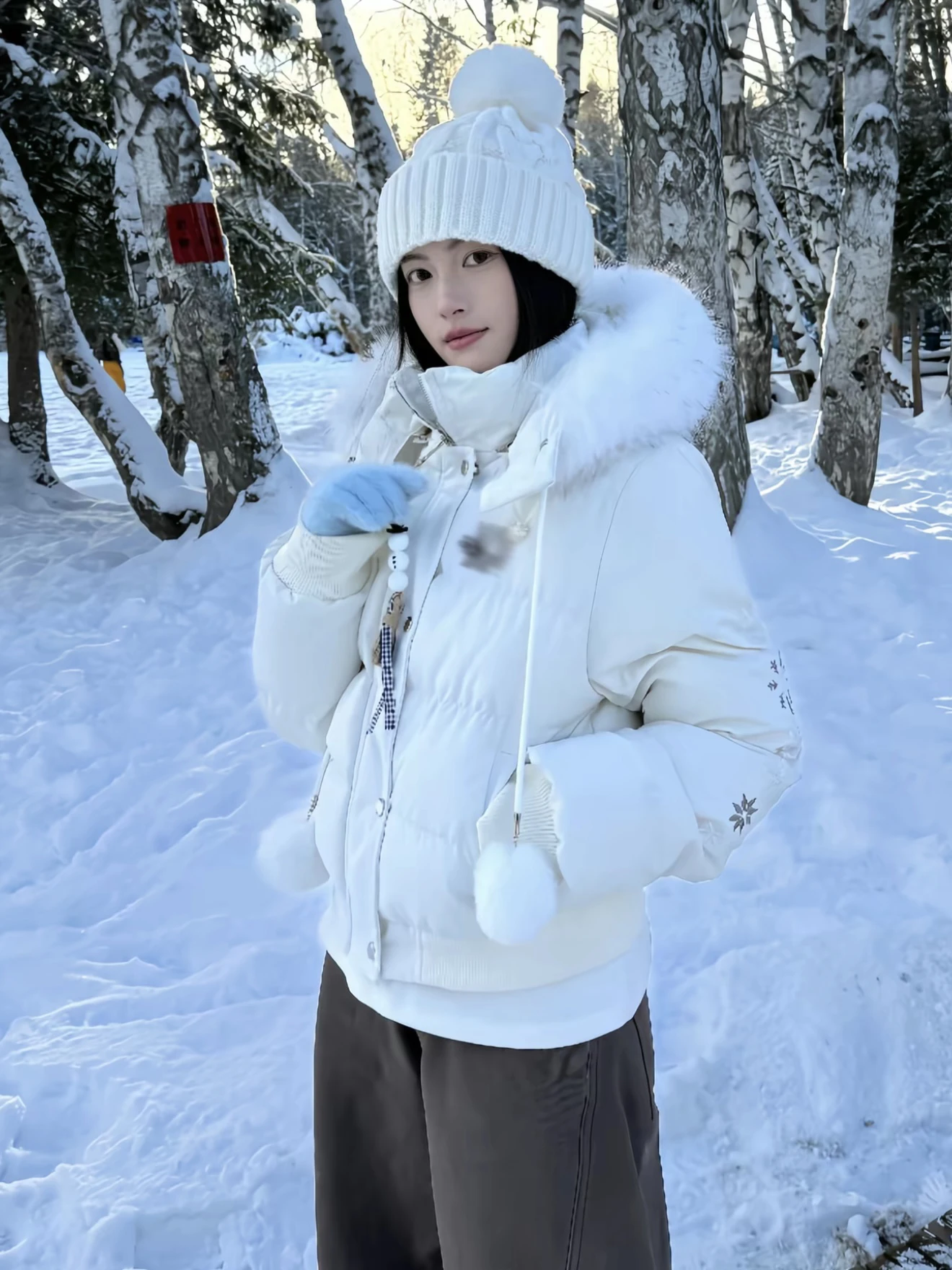 Женское зимнее хлопковое пальто в стиле ретро с вышивкой снежинки, новое теплое хлопковое пальто со съемным меховым воротником и капюшоном
Женское зимнее хлопковое пальто в стиле ретро с вышивкой снежинки, новое теплое хлопковое пальто со съемным меховым воротником и капюшоном