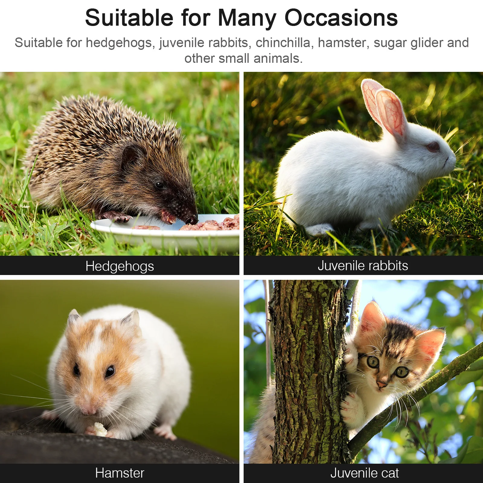 Winter Parrot Nest Hanging Bird Bed Thick Stuffed Hammock Resting Small Animal Cage Bird Comfort Shelter
Winter Parrot Nest Hanging Bird Bed Thick Stuffed Hammock Resting Small Animal Cage Bird Comfort Shelter