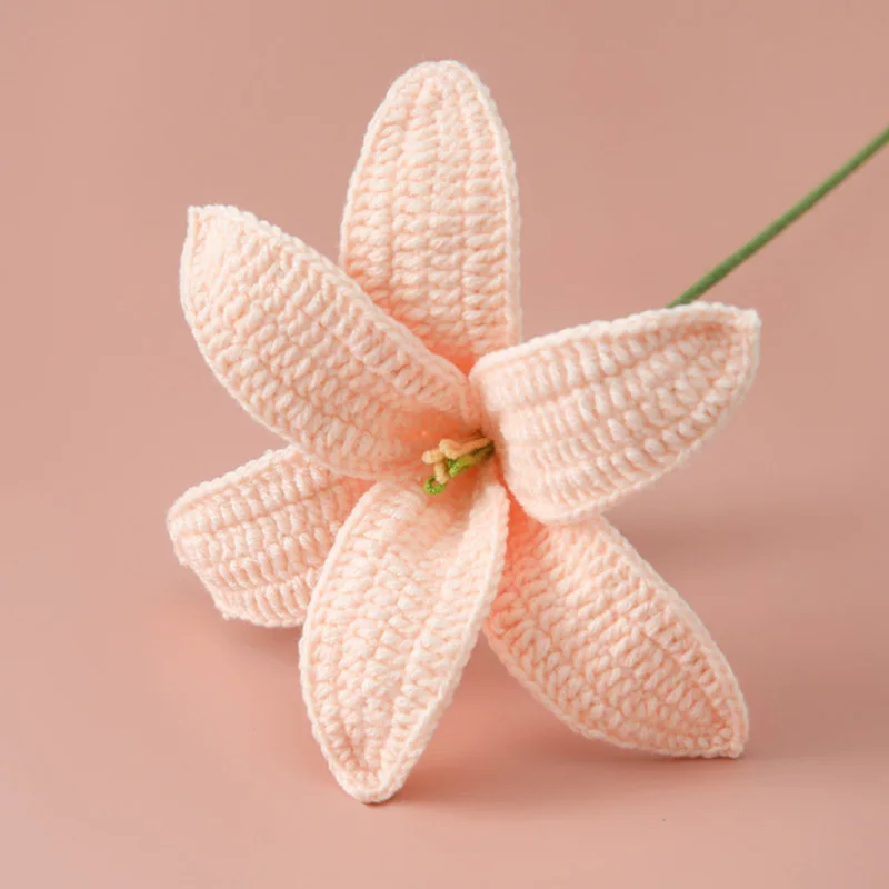 1PC Simulation Home Decor Artificial Flowers Birthday Gift Lily Crochet Hand Woven Crochet Cotton
1PC Simulation Home Decor Artificial Flowers Birthday Gift Lily Crochet Hand Woven Crochet Cotton
