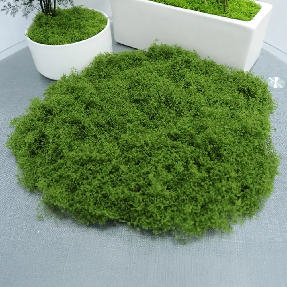 Micro Landscape Decor Realistic Artificial Moss Artificial Moss Decorations for Home Garden Faux Moss Ground Cover
Micro Landscape Decor Realistic Artificial Moss Artificial Moss Decorations for Home Garden Faux Moss Ground Cover
