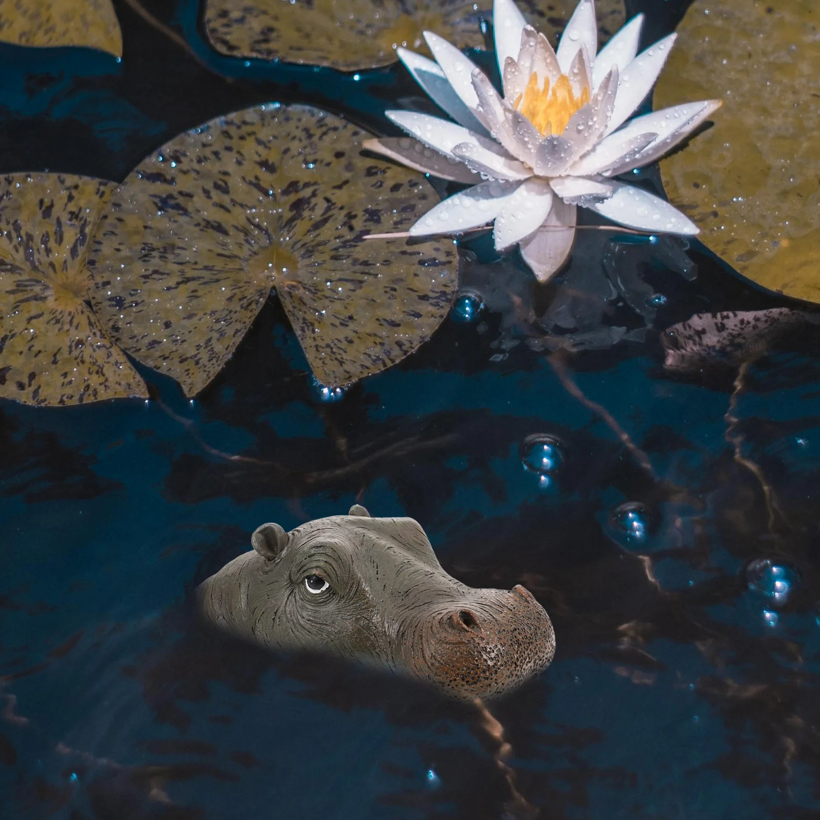 Small Resin Floating Hippo Head Pond Decor Simulation Hippo Head-Shaped Ornament Garden Yard Patio Decoration Garden Decor
Small Resin Floating Hippo Head Pond Decor Simulation Hippo Head-Shaped Ornament Garden Yard Patio Decoration Garden Decor