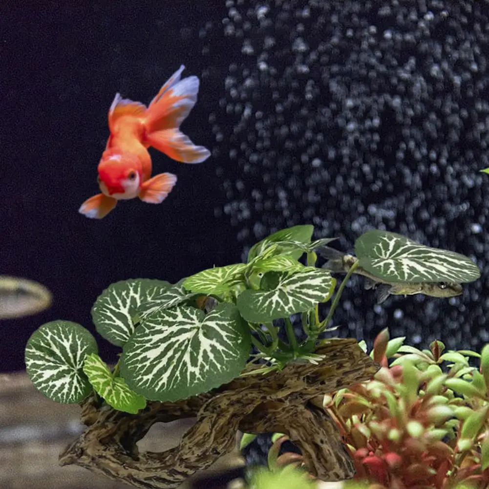 Unique Fish Tank Decoration Aquarium Ornament Set for Betta Fish Smaller Artificial Plant Decorations Dwarf Frog for Aquatic
Unique Fish Tank Decoration Aquarium Ornament Set for Betta Fish Smaller Artificial Plant Decorations Dwarf Frog for Aquatic