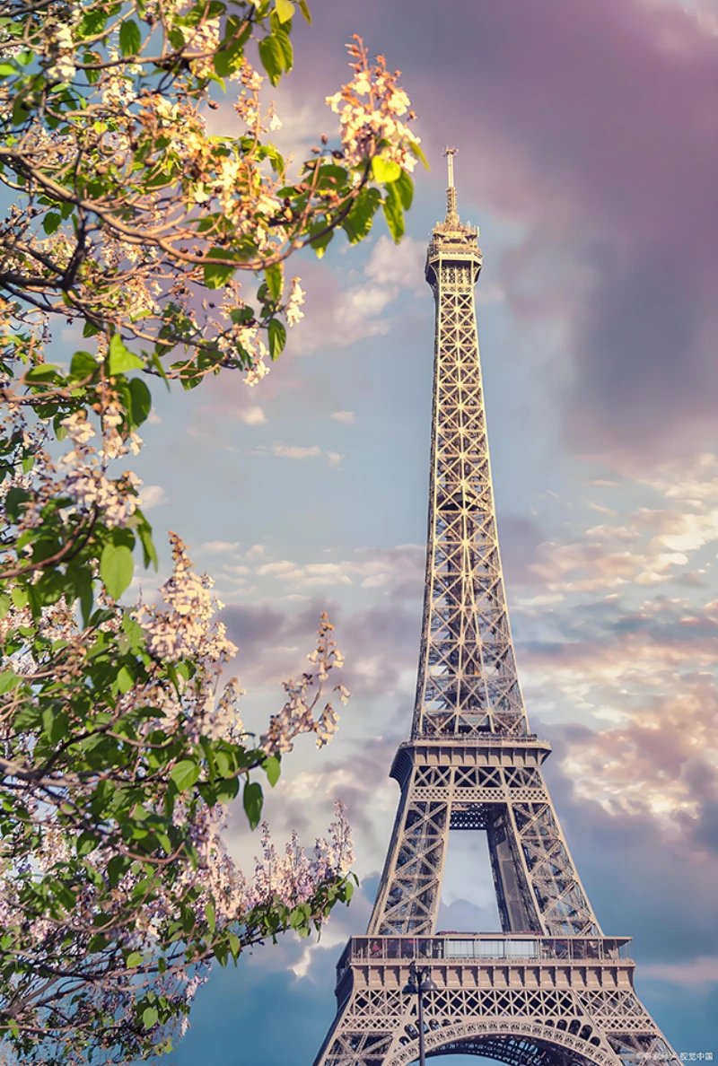 1000/500/300/120 Pieces Paris Eiffel Tower Jigsaw Puzzle Home Decor for Adults Game Family Fun Puzzles Educational Toys for Kids
1000/500/300/120 Pieces Paris Eiffel Tower Jigsaw Puzzle Home Decor for Adults Game Family Fun Puzzles Educational Toys for Kids