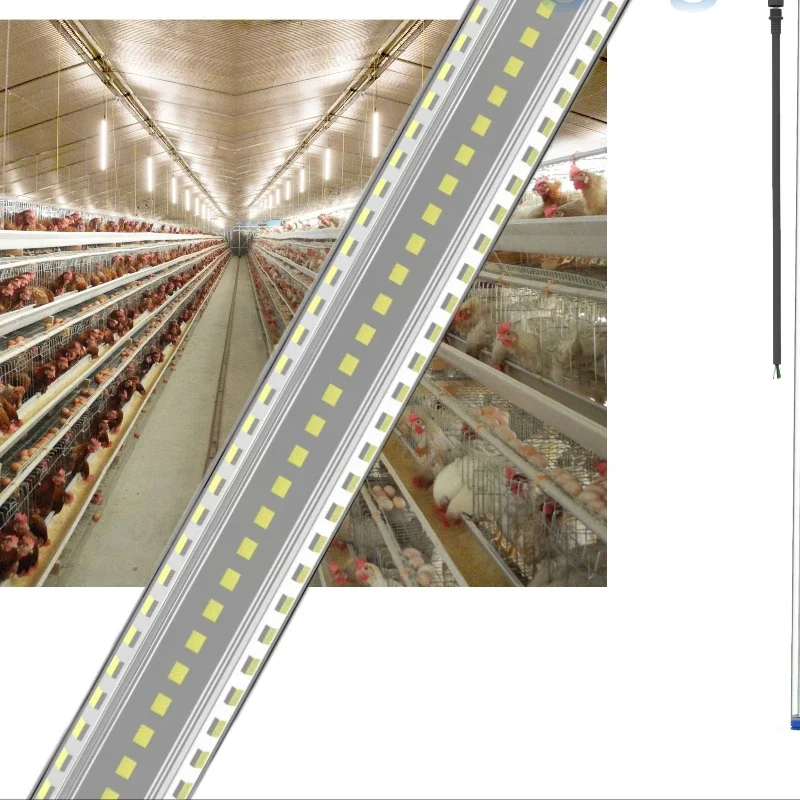 Vertical hanging LED tube 360 ° beam of light Angle adjustable waterproof lamp
Vertical hanging LED tube 360 ° beam of light Angle adjustable waterproof lamp