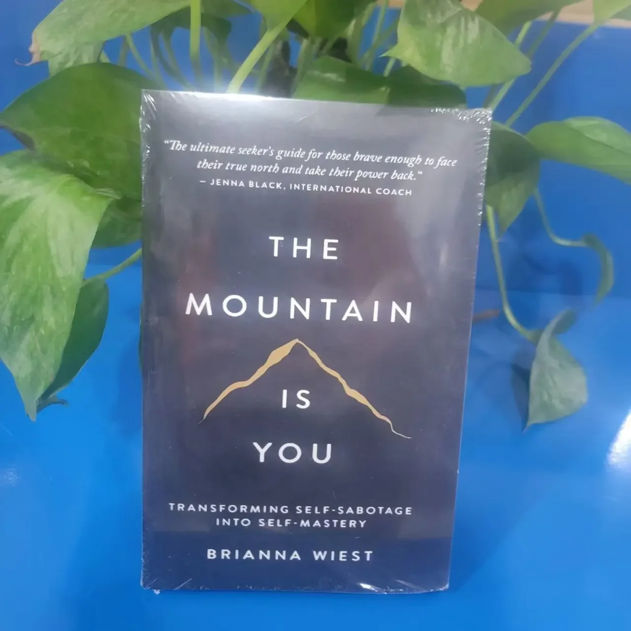 【 In Stock 】 'The Mountain is You': A book that transforms self destruction into proficiency in English, a hot selling book
【 In Stock 】 'The Mountain is You': A book that transforms self destruction into proficiency in English, a hot selling book