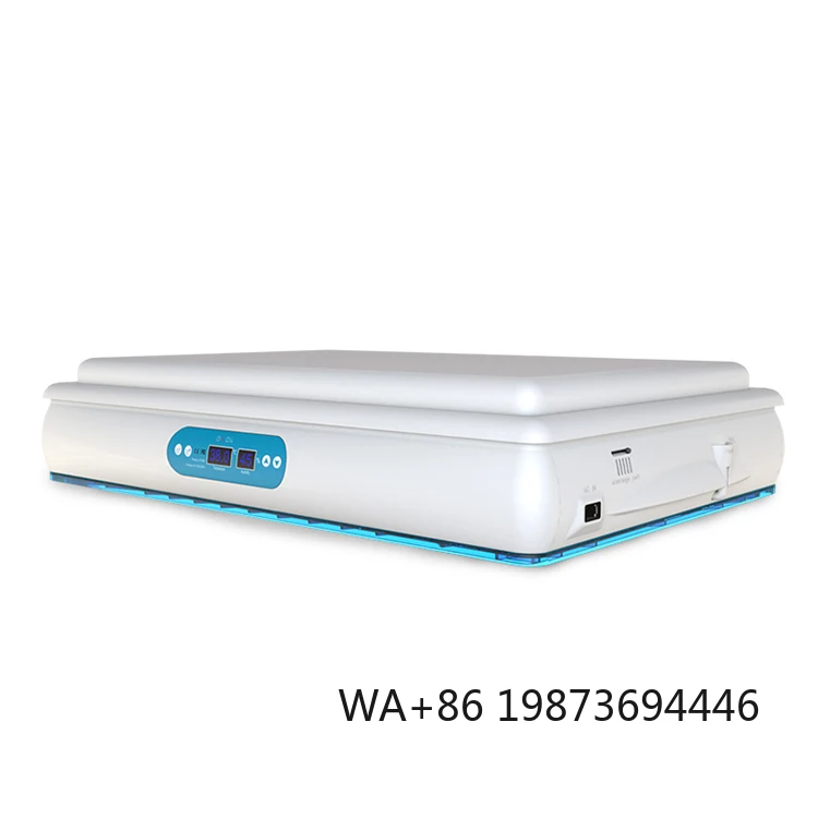 H120 Fully Automatic 120 Egg Incubator Hatcher Chicken Duck Goose
H120 Fully Automatic 120 Egg Incubator Hatcher Chicken Duck Goose